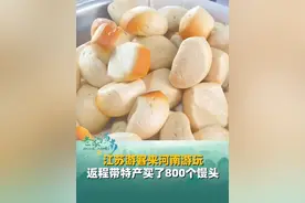 5月21日（采访），河南洛阳，河南馒头有多好吃！江苏游客来河南游玩，返程带河南特产买了800个馒头！“800个馒头回来都不够分呀！”。#河南 #馒头视频封面