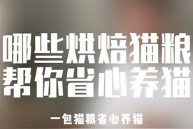 哪些烘焙猫粮能帮你省心养猫 #猫粮测评#猫粮推荐性价比高排行榜视频封面