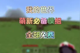我的世界：推荐萌新必备模组，全部免费！#我的世界