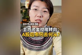 主力资金已经彻底转向：A股后市何去何从？ #掘金计划2025 
#财经 #股票  #股票交流 #a股 #实盘记录  #投资理财  #行情分析  #大盘分析视频封面
