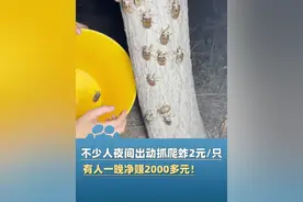 卖到2元/只，有人一晚净赚2000多元！最近好多人一到晚上就出动捉爬蚱！（中国经济网）#大象主播说 @程鹏