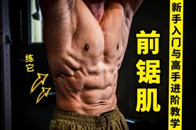 【超详细】鲨鱼线·前锯肌 专项训练极致教学 新手&进阶通用