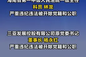 海南7名干部被处分！ #纪委监委 #反腐倡廉 #海南7名干部被处分视频封面