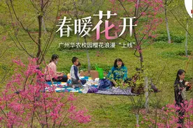 春暖花开！广州华农校园樱花浪漫“上线”#春暖花开广州视频封面