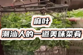 麻叶，潮汕人餐桌上的一道美味菜肴 #潮汕美食视频封面