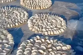 被东北冻饺子现场震惊了！饺子“洗完澡”直接铺满院子，室外天然大冰箱就是好使！视频封面