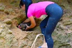 梦玲收拾鹌鹑蛋鸡蛋捉大公鸡并拿到市场去卖 #田园生活 #野外建造 #农村生活