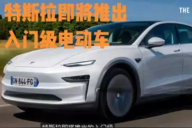 低价版的特斯拉ModelQ预计2025上半年推出，还有7座版视频封面