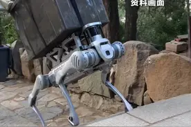 泰山景区"机器狗"驮载重物，步伐稳健轻松上下山#泰山 #机器狗视频封面