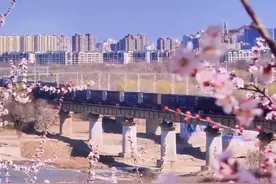 北京园博园桃花谷&开往春天的列车，春日大片顶流组合已上线视频封面