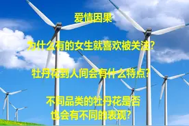 爱情因果：为什么有的女生就喜欢被关注？视频封面
