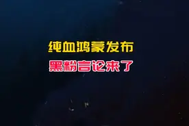 纯血鸿蒙发布，黑粉言论来了，背后金主难以接受的两件事视频封面