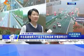 河北高速指挥大厅直击节前晚高峰 #秒懂清明出行 #清明节视频封面