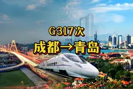 G317次成都东→青岛  全程约2395km 预计运行14小时27分钟 #高铁视频封面