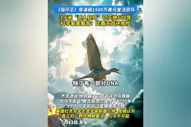 《指环王》导演砸1500万美元复活恐鸟。3.6米“杀人巨鸟”已灭绝600年，科学家急警告：比霸王龙还危险！#恐鸟 #复活恐龙 #恐龙视频封面