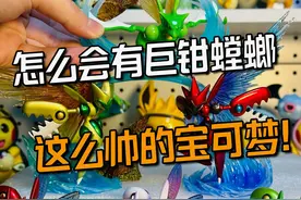 强是一个版本的事，帅是一辈子的事，DM瓜瓜巨钳螳螂组拆箱 #巨钳螳螂 #飞天螳螂 #宝可梦图鉴 #宝可梦全图鉴 #口袋妖怪