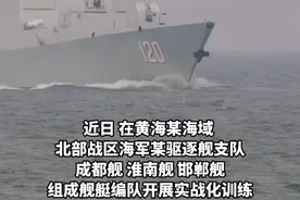 直击现场！北部战区海军某驱逐舰支队#成都舰 、#淮南舰 、#邯郸舰  组成舰艇编队开展#实战化训练 。#作战能力视频封面