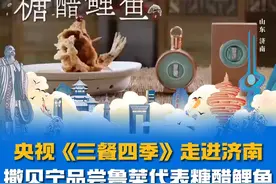 央视《三餐四季》走进济南，撒贝宁品尝鲁菜代表糖醋鲤鱼，“视觉、听觉、味觉三合一”#三餐四季 #济南美食 #撒贝宁 #好客山东美美与共 #逛不完的宝藏山东视频封面