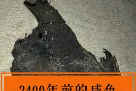 2400年前的咸鱼，自己本身已经提前咸鱼翻身了！#咸鱼 #文物 #湖北省博物馆视频封面