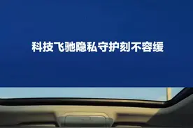 车内安全自查：如何检测车内是否被窃听或跟踪 如何检测车内是否被窃听或跟踪#汽车服务 #窃听 #跟踪 #gps定位 #GPS定位检测视频封面
