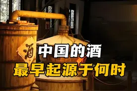 过年聊聊酒文化，中国的酒最早起源于何时？蒸馏酒是怎么做的？视频封面
