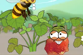 畸形草莓是怎么回事 #有趣的知识又增长了 #动漫编年史视频封面