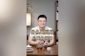 黑茶入门全解析，熟普到底算黑茶吗｜什么叫黑茶 #茶知识 #茶叶 #黑茶 #喝茶 #召唤茶友视频封面