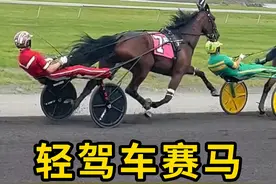 轻驾车赛马，使用标准马，拉着双轮马车比赛！ #轻驾车赛马 #科普 #涨知识视频封面