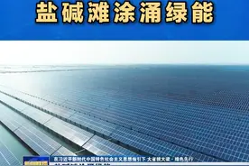 山东以能源绿色转型为牵引，构建绿色低碳高质量发展新格局，一片片盐碱滩涂绿能涌动；一个个新能源新产业活力迸发。 #山东#能源绿色转型视频封面
