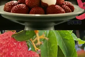 冷链运输VS八百里加急，杨贵妃要吃的高州荔枝，如今早已自由了！#广东人的荔枝凡尔赛 #星乡村星农人 #去山海溜溜 #dou来广东百千万 #长安的荔枝视频封面