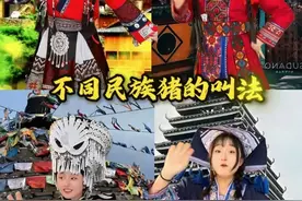 不同民族猪的叫法各有不同 #动物叫法 #冷知识  #不同民族 #猪
