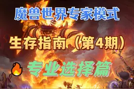 【魔兽世界硬核服】专业选择攻略 采集专业：剥皮 挖矿视频封面