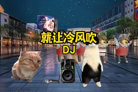 当我陪我妈去跳广场舞……#猫meme #广场舞跳起来