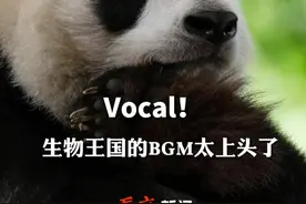 #国际生物多样性日  这里有一份生物王国欢乐派对邀请函，请你一起来快乐！#2024成都世园会视频封面