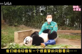 韩国饲养员爷爷和中国大熊猫的故事：35、两位爷爷的采访3视频封面