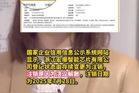 决议解散！宗馥莉任职董事的智能芯片公司注销 #宗馥莉 #娃哈哈 #热点 #芯片