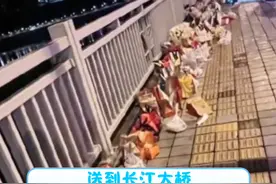 胖猫事件以负面案例上了央视新闻 #胖猫  #315晚会  #央视新闻视频封面