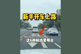 新手开车上路，必懂6种道路标线，今天一条视频教会你 #汽车知识