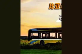 比亚迪卖给印度电动大巴，一定要对方先付全款，这事您怎么看？ #印度 #比亚迪