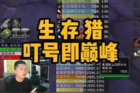 魔兽生存猎叮号到打断层输出全攻略，宏在视频后面！视频封面