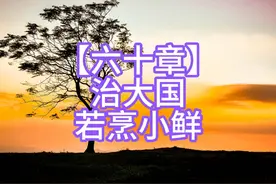 【六十章】治大国若烹小鲜视频封面