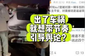 所以最后，车门打开了么…… #半隐藏式门把手 #车祸视频封面