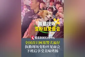 #全国首只柯基警犬  “福仔”执勤现场秒变粉丝见面会 下班后享受美味烤肠视频封面
