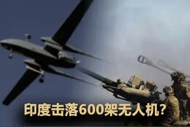 印度用高射炮击落600架无人机？巴基斯坦不辟谣？ #硬核深度计划视频封面