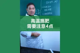 高温对农作物的影响非常大，针对极端天气，该如何应对呢？ #施肥 #腐植酸 #三农种植 #种植户 #高温