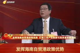 发挥海南自贸港政策优势 打造三亚产业集群与高质量发展项目#海南省两会 #两会会客厅 #海南dou知道 视频封面