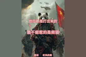 地位都是打出来的，最不能惹的人是熊猫 #听风的蚕 #热点视频封面