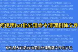如何使用bat批处理命令清理删除文件？ #科技  #it视频封面