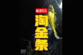 淘金条 真实“黄金矿工”海上作业指南，结尾大家都淡定了#dou是钓鱼人 #原来钓鱼才是抖音运动顶流 #2024dou来钓鱼 #逐鰤 #伊酷达 @大小猫杂货铺视频封面