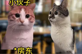 房东过度涨价导致无人租房 #meme #房东 #真实 ##热点 #meme猫视频封面